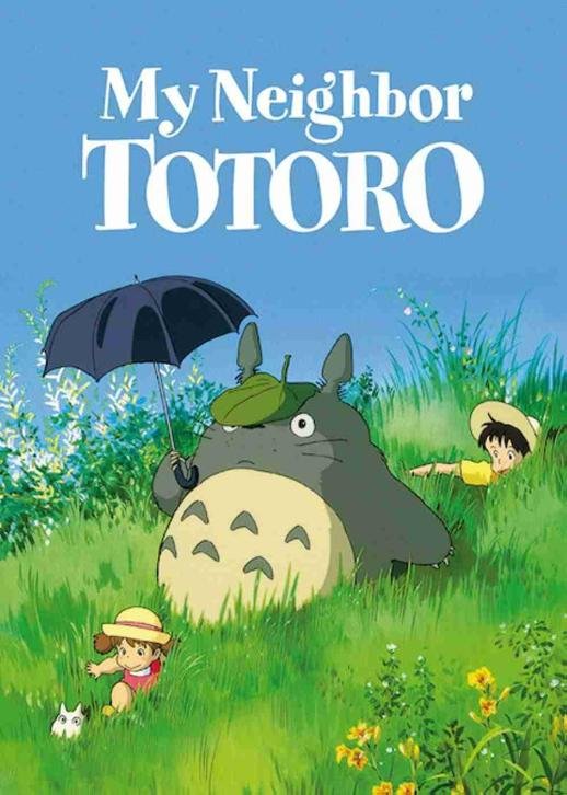 My neighbour Totoro in Hindi